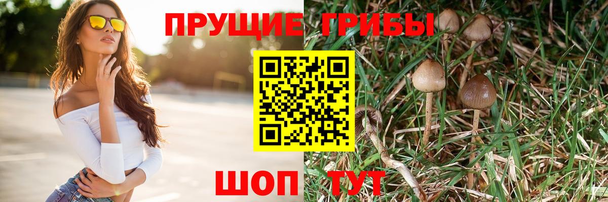 Галлюциногенные грибы Psilocybe  Псилоцибиновые грибы Cubensis  Вход с VPN  Выборг 